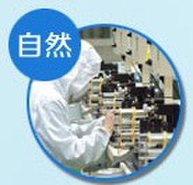 亚韩美容冠